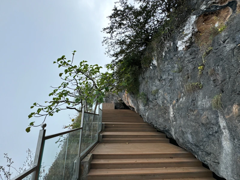 Путешествие по западному побережью Салалы