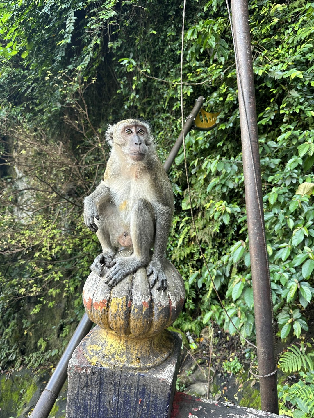 5.08 были на экскурсии Великолепный Куала Лумпур и пещеры Бату, потрясены, удивлены этой страной, этим городом!