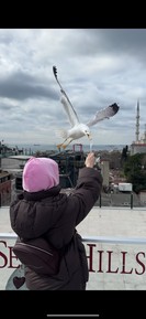 Фото отзыва 2: экскурсия "Знакомство со Стамбулом: Старый город + прогулка по Босфору"