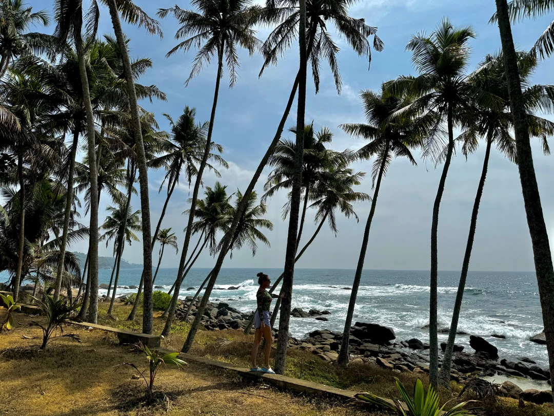 Отличная экскурсия от самой южной точки Шри-Ланки по красивейшим местам и пляжам. Спасибо организаторам и нашему