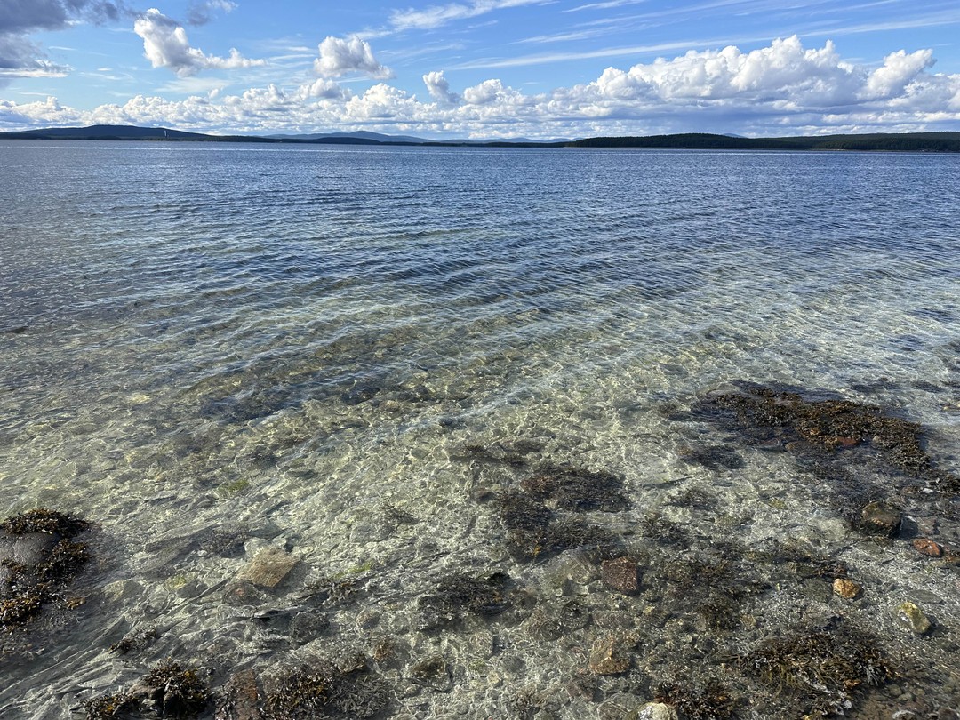 Из Мурманска в Кандалакшу - на Белое море (Абакумова)