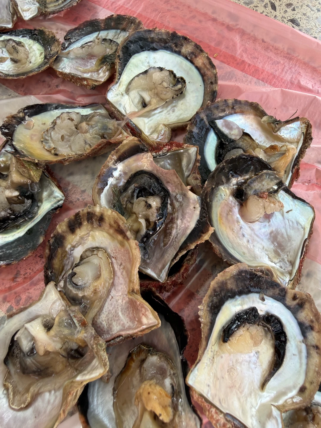 Экскурсию бронировала заранее, внесли предоплату. И сразу добавили в группу вотсап где были все организационные сообщения, что очень удобно