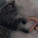 Алеся
