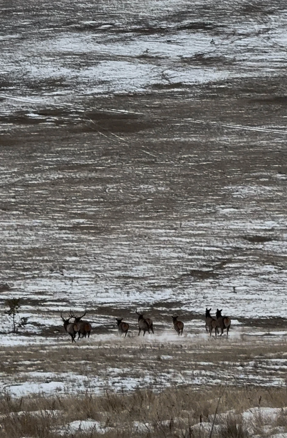 Отличная поезда. Огромное спасибо Сергею. Все очень продуманно. Доехали до самой северной точки острова. Незабываемые виды