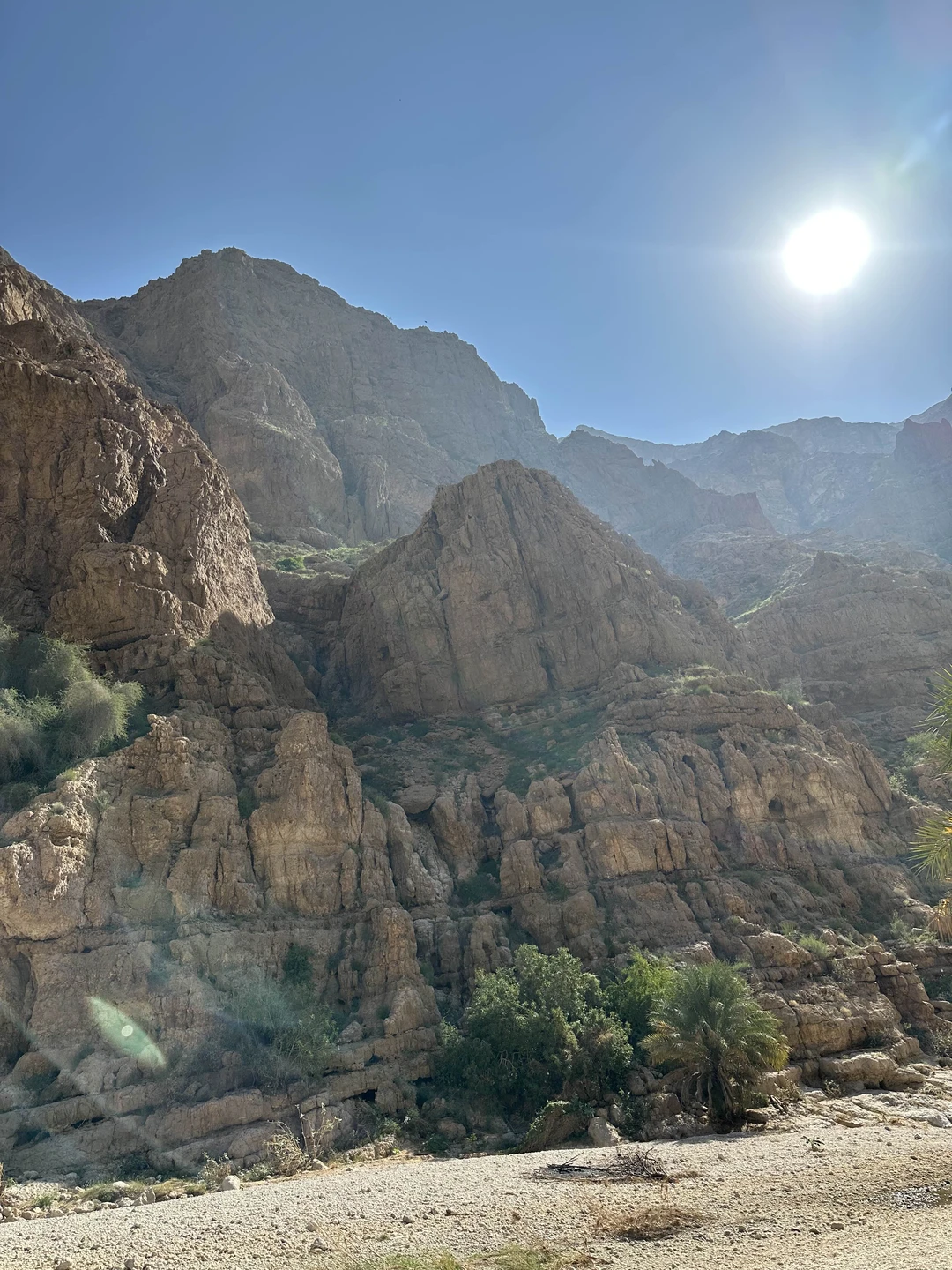 Поездка в сказочный оазис - Вади-Шаб (Zafar)