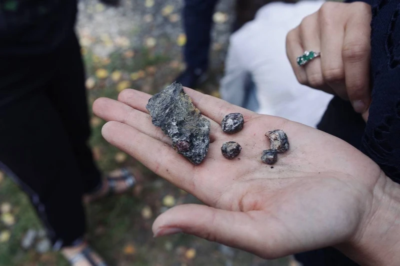 Зимние водопады, добыча граната и зоопарк: сокровища северного Приладожья