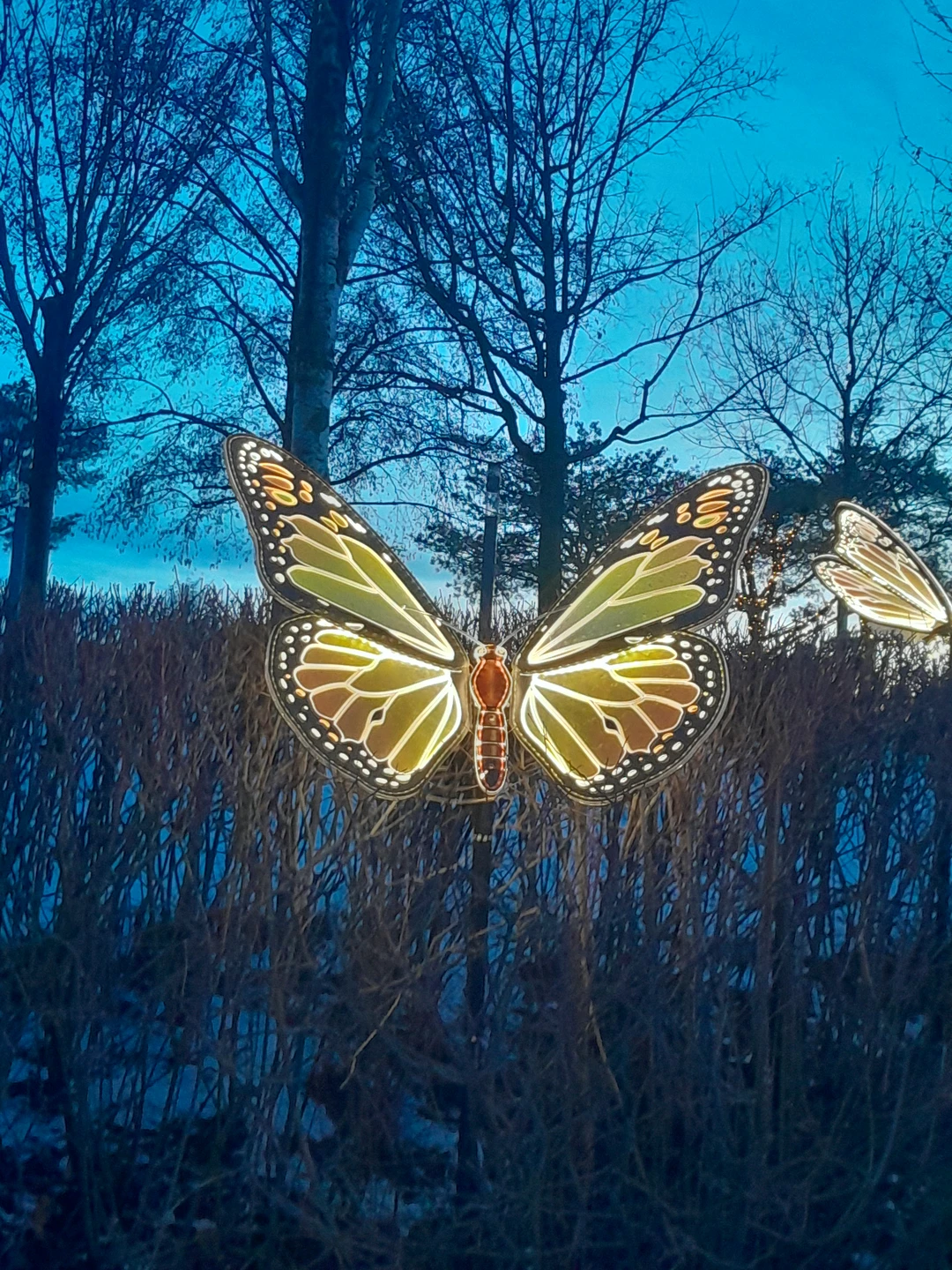 По Краснодару и парку Галицкого (пешком и на машине) (Татьяна)