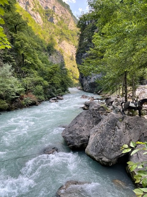 Гранд-путешествие по Абхазии: 4 города и озеро Рица (Сергей)