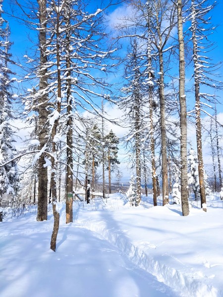 Огромное Спасибо за супер поход👍