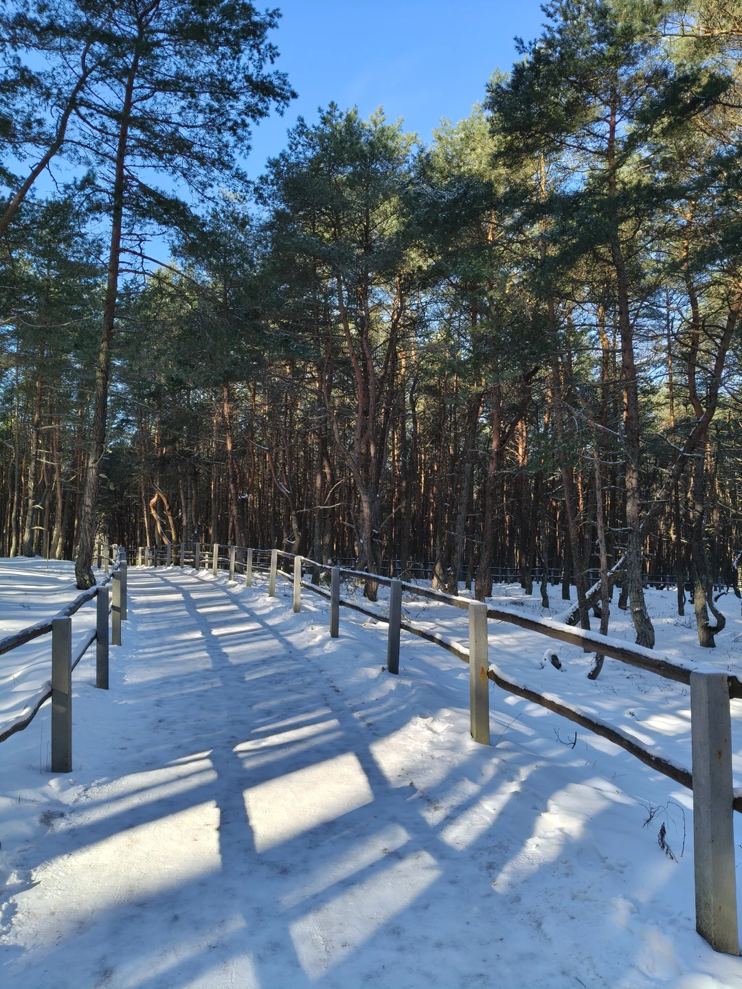 На Куршскую косу через форты и замки (Евгения)