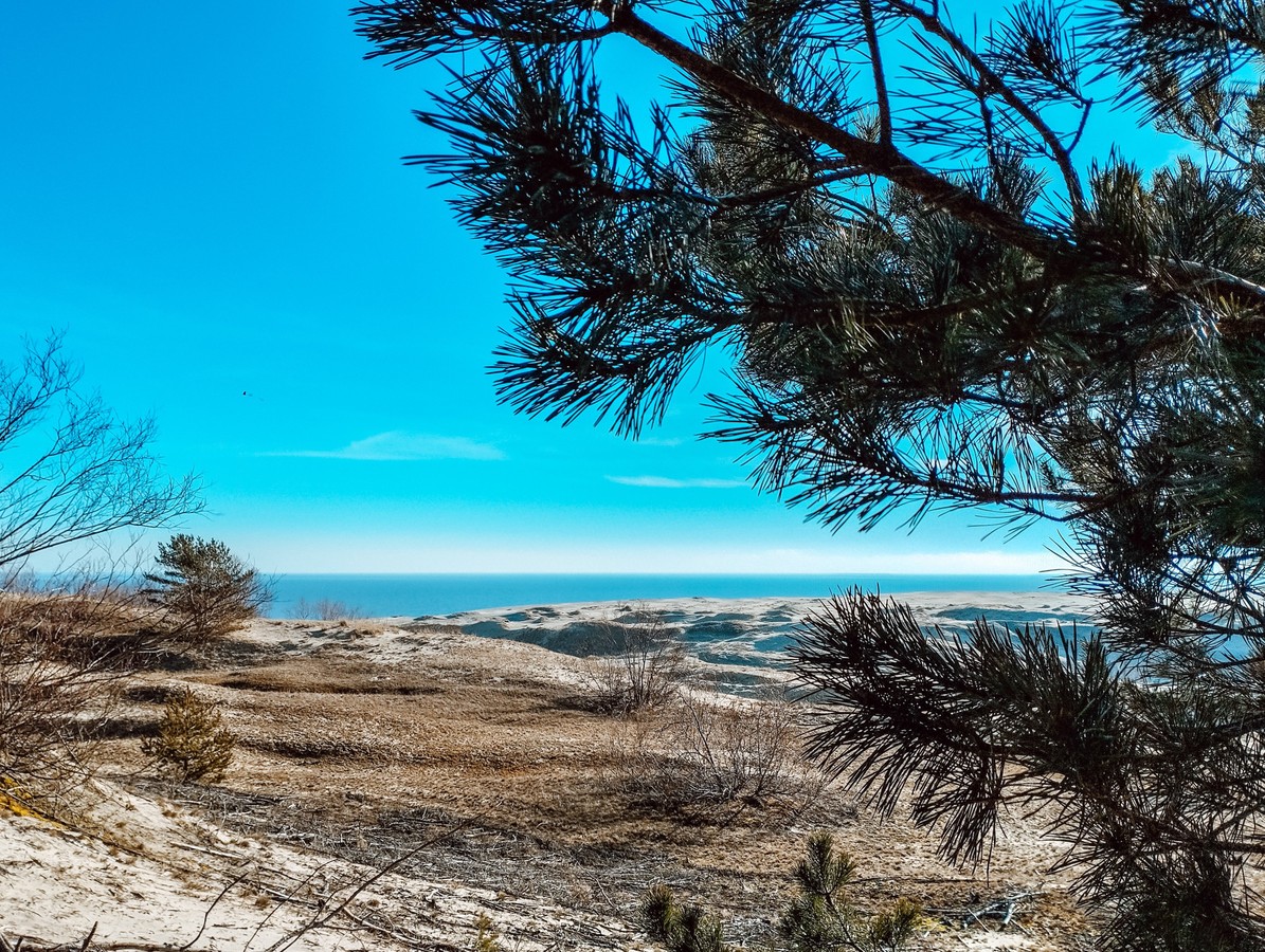 Магия Куршской косы: поющие пески и Танцующий лес