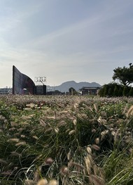 Фото отзыва 4: экскурсия "Исторический Сеул&nbsp;— первая встреча"