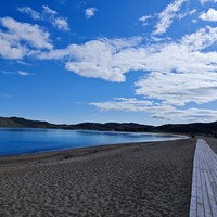 Фото отзыва 2: экскурсия "Териберка за 1 день: посёлок, китовое сафари и дегустация морепродуктов"