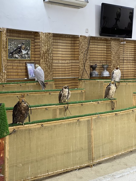 Спасибо за прекрасно организованную экскурсию гиду Наталье!!! Доха влюбила в себя!!! Маршрут отлично показал город (да