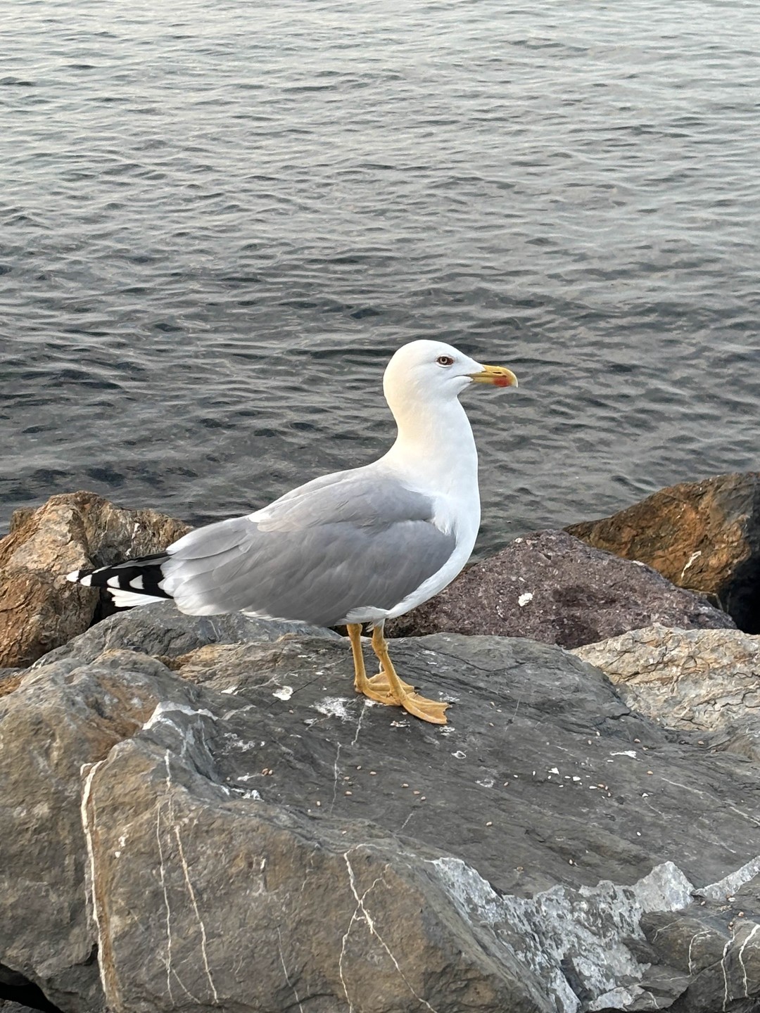 Хотим сказать огромное спасибо Даши! Очень интересно было слушать,узнавать что то новое,да и просто болтать! А