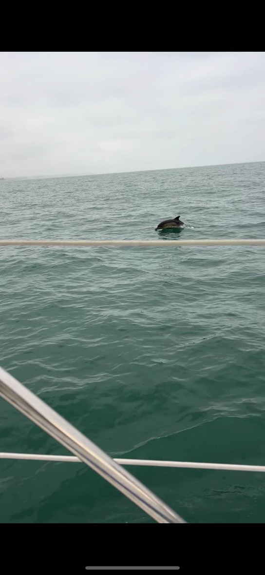 Морская прогулка прошла отлично) хоть я была одна и с погодой не очень повезло,мы увидели огромную стаю дельфинов😍 это было незабываемо,спасибо!)