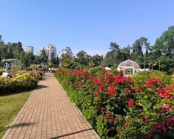 Дендрарий