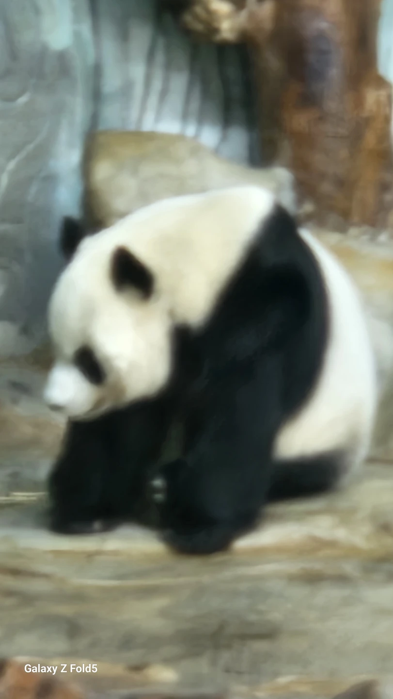 Зоопарк-сафари очень большой, экскурсия организована великолепно, гид русскоговорящий учитывал все пожелания