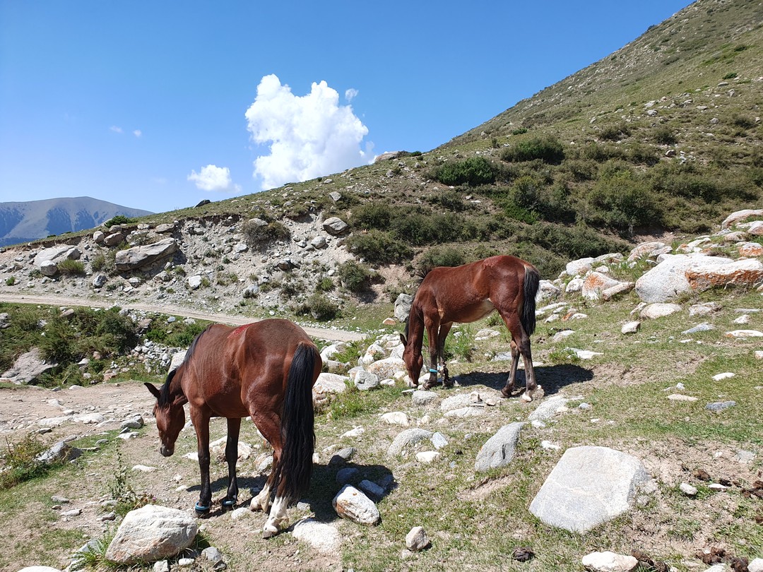 В эту поездку мы отправились семьёй. Три поколения возрастом 23, 50, 73 года и очень обаятельный