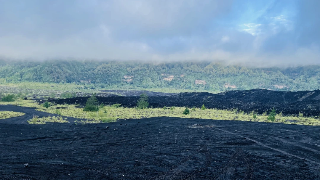 Отличная экскурсия!