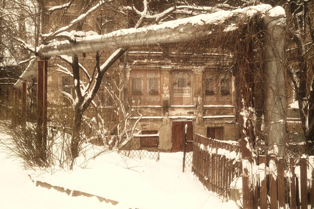 Другой Нижний: непарадные улицы, деревянные кварталы, стрит-арт (Андрей)