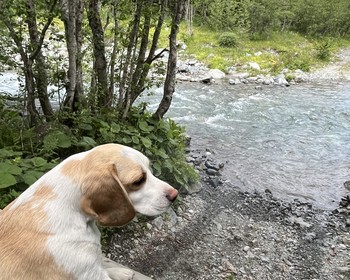 Санчарские водопады