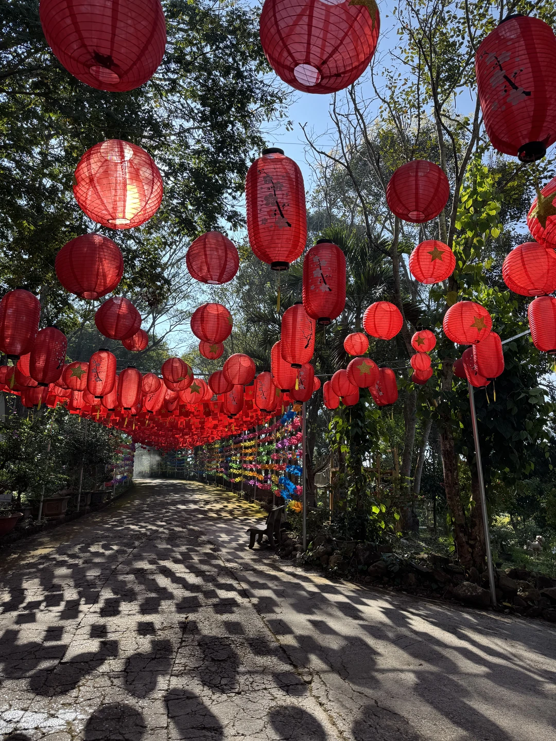 Очень интересная информативная поездка, где Элла проявляет заботу и внимание к каждому шагу. Доступным языком рассказывает