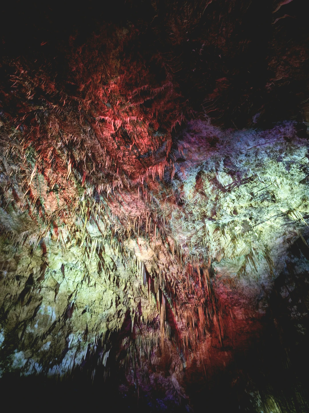 Спасибо нашему гиду Лаше — наш день прошёл просто великолепно!