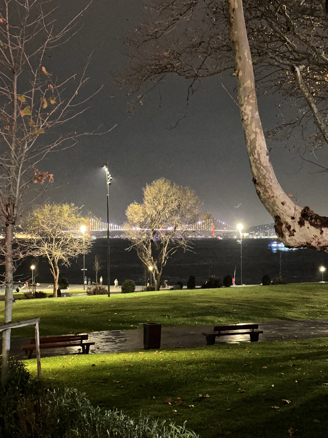 Ох уж этот Стамбул! Сегодняшнее путешествие по его главным сокровищам, благодаря нашему гиду Мухамеду Али, превратилось