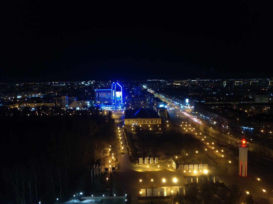 Тюмень с высоты (Роман)