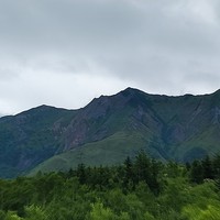 reviews img