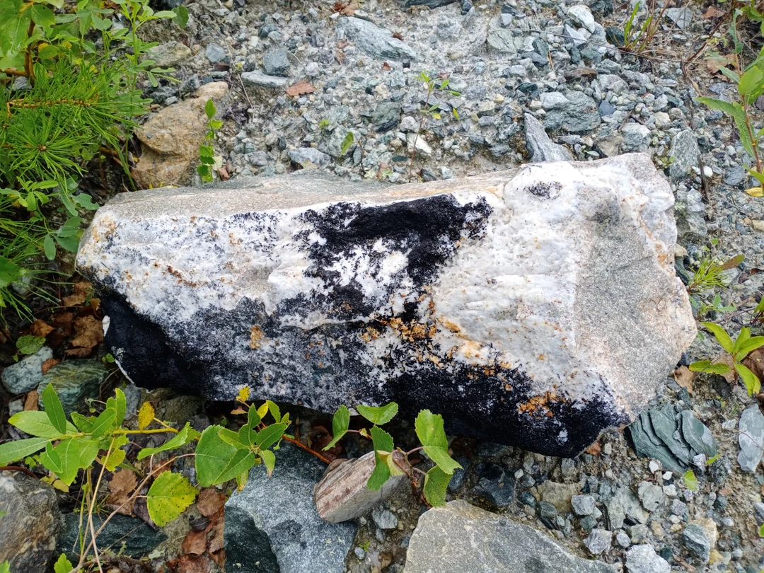 Информацию получили интересную и исчерпывающую. Минералов накопали разных. Анатолий подсказывал, кто есть кто:) Старая Линза очень