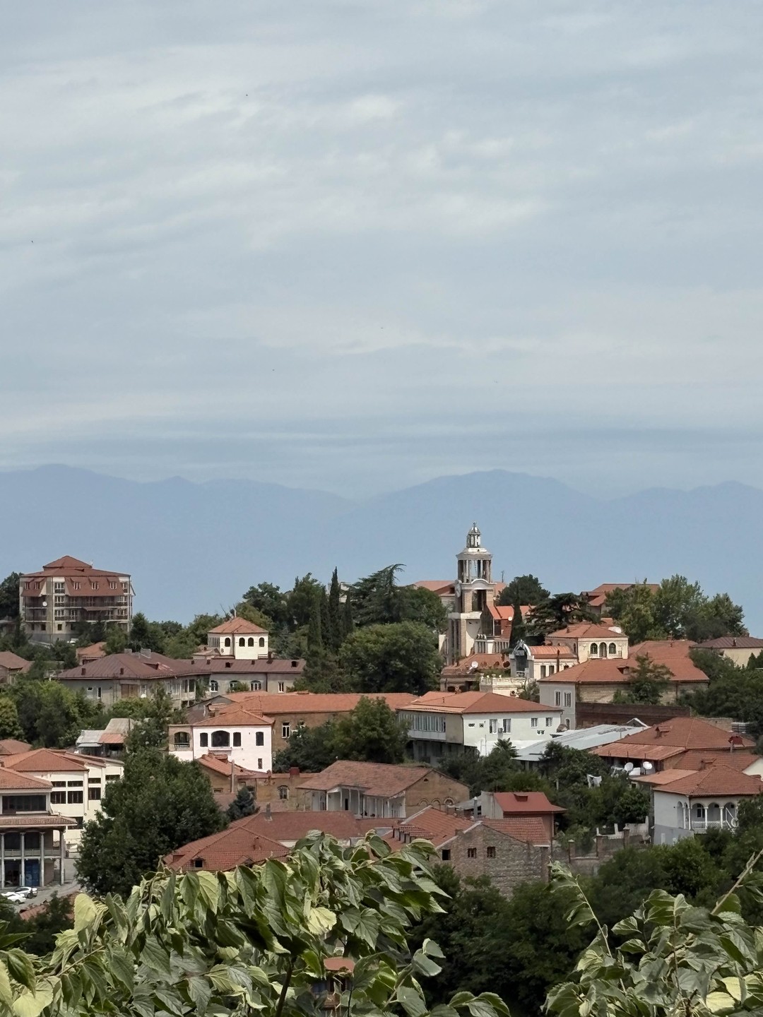 Экскурсия с Александром стала одним из ярчайших моментов отдыха в Грузии!