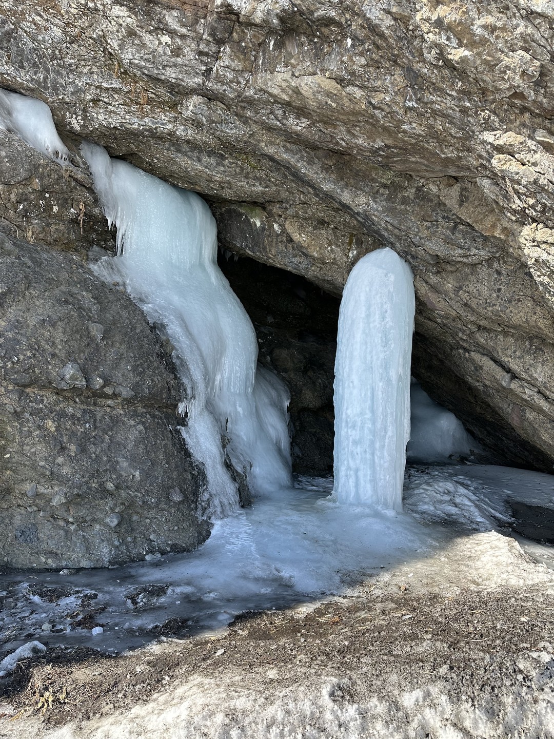 Все очень понравилось. Впечатлений море. Удалось еще и порыбачить. Поймали навагу. На рынке купили краба. Красивейшие
