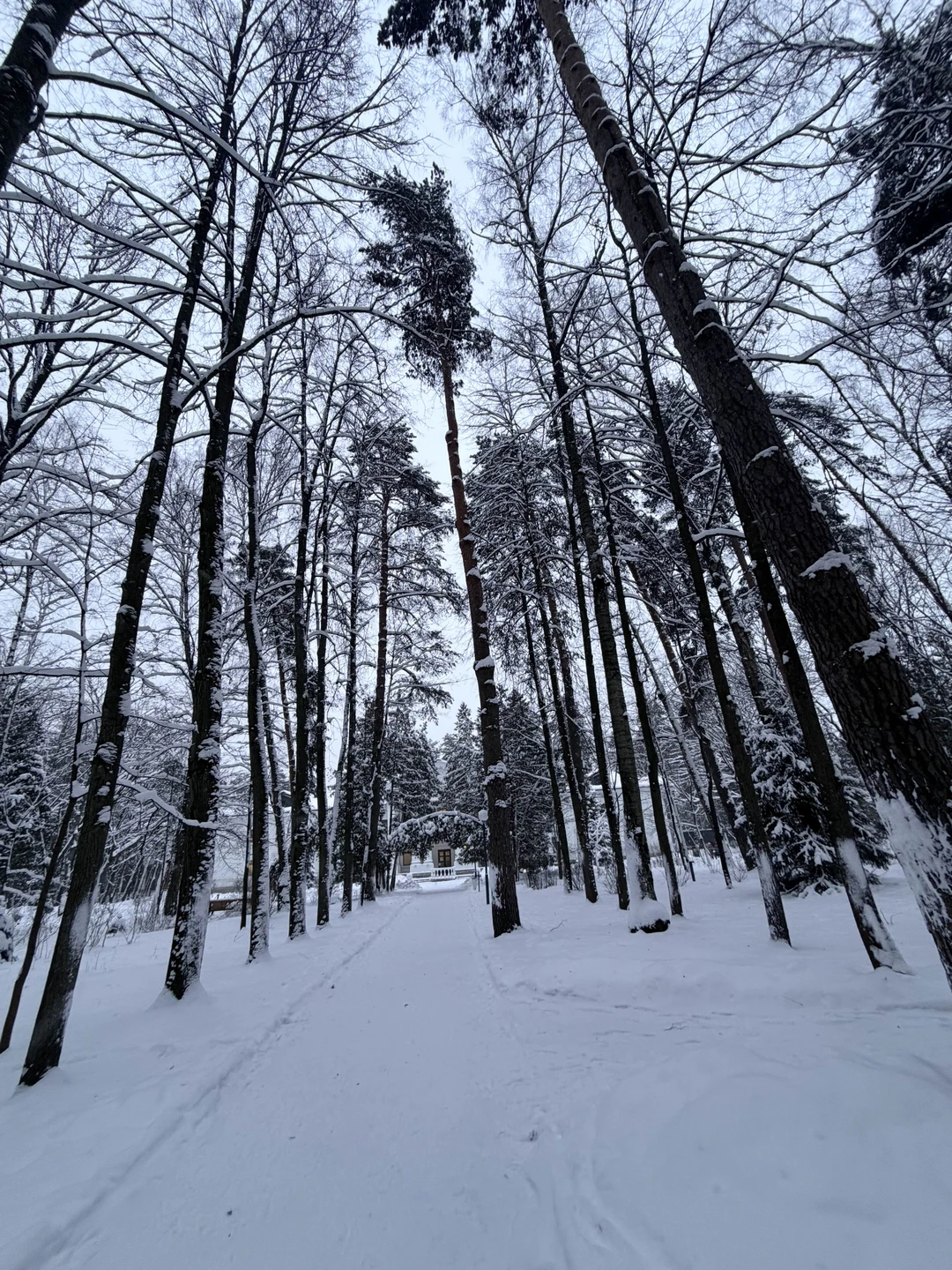 Литературное Переделкино (Елена)