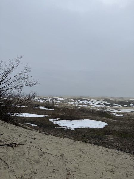 Прекрасная экскурсия, содержательная и не перегружена информацией. экскурсовод Лилия очень интересно и увлекательно рассказывает, много историй