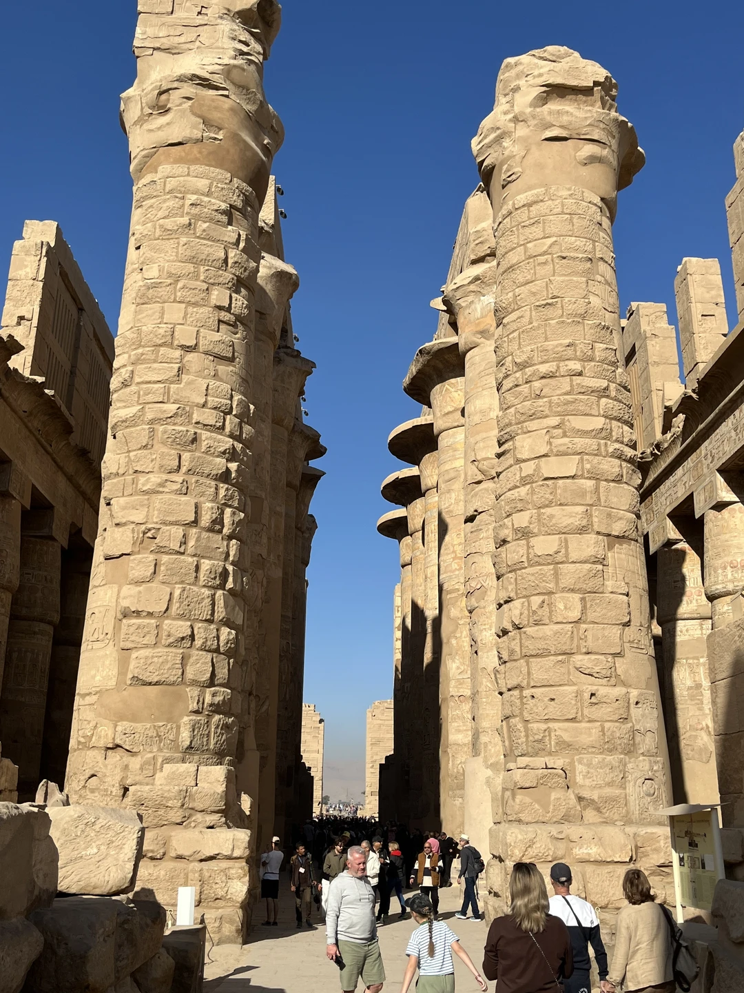 Экскурсия прошла замечательно. Везде были куплены билеты, быстро проходили все входы. Информация очень интересная и понятная