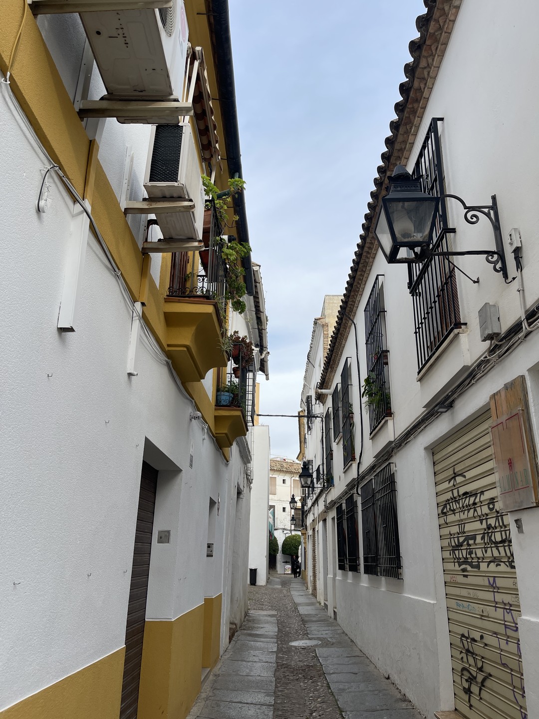 Рубен - профессиональный гид, который любит свое дело и свой город! С таким человеком узнаешь много