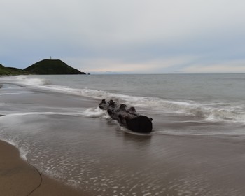 Прогулки в бухте Корсакова