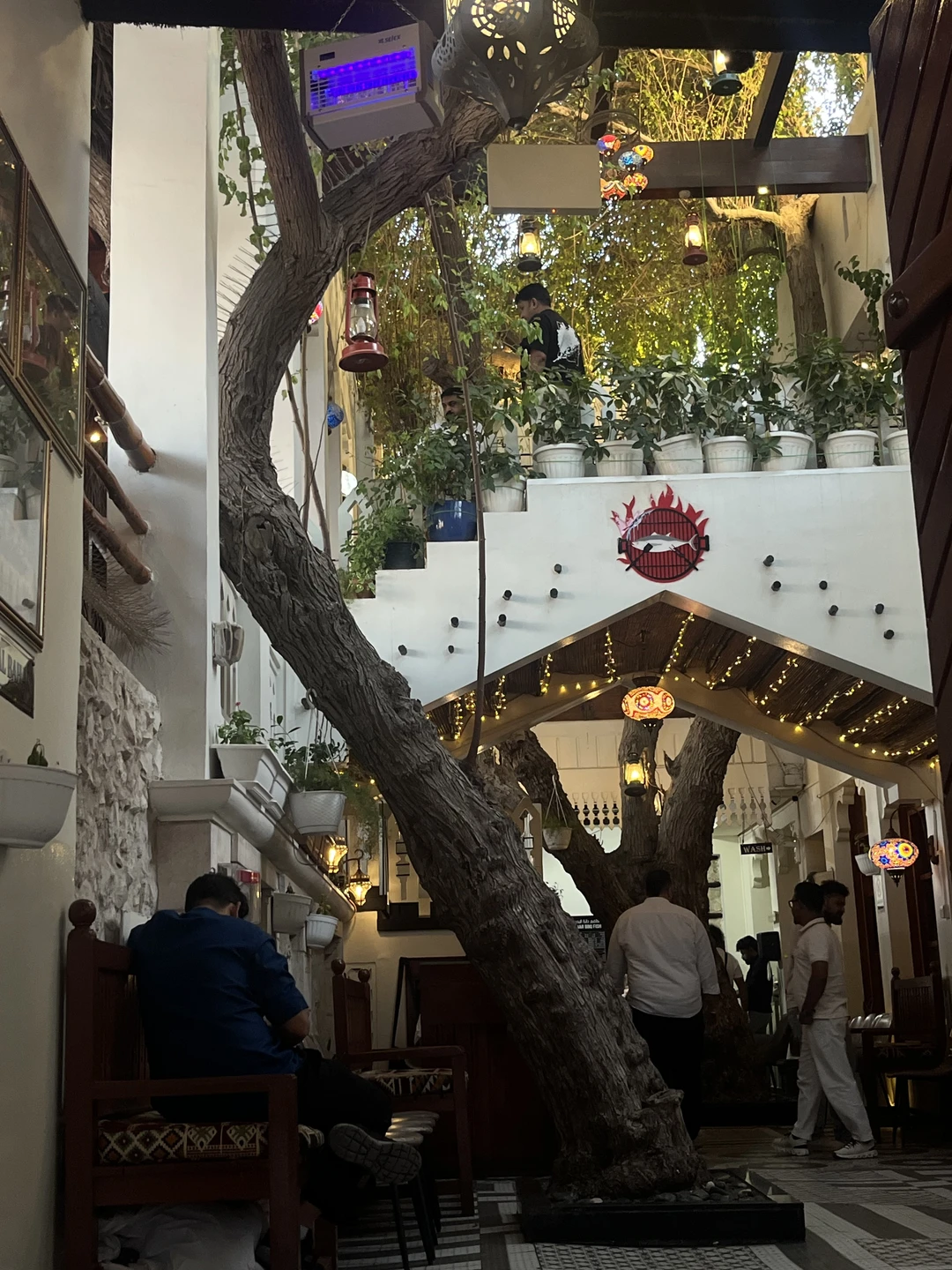 Идеальная экскурсия! Мы гуляли по этим местам до экскурсии и, конечно, прогулка с Альбиной открыла так