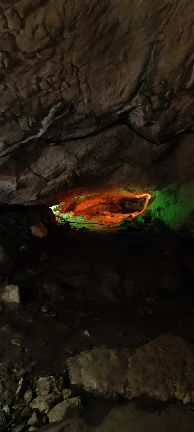 Мы прошли за день 9 километров по горам, увидели, как растёт чай, как текут горные реки