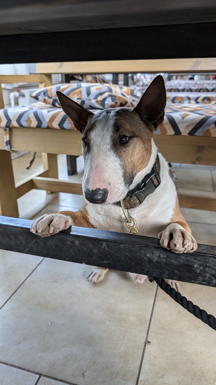 Экскурсия была адаптирована под наши запросы - преимущественно природные либо свободного посещения достопримечательности, а также наличие