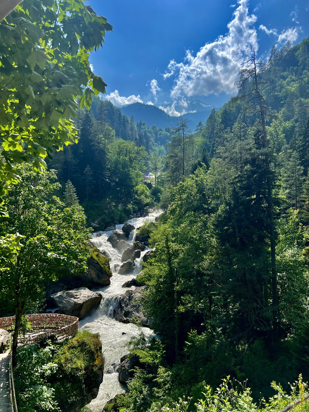 Душевная экскурсия в сердце Абхазии (из Гагры) (Наталья)