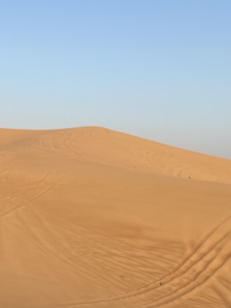 Сафари в Дубае: магия заката в пустыне без кемпов и шоу-программ (Ольга)