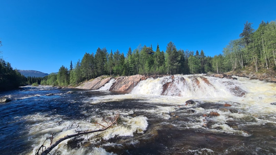 Дмитрию огромное спасибо за удивительный день, который мы провели с ним. Показал нам много красивых мест: