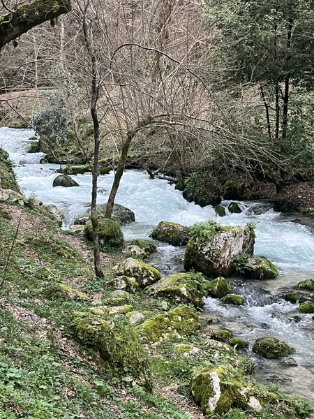 Путешествие в сказочную Абхазию