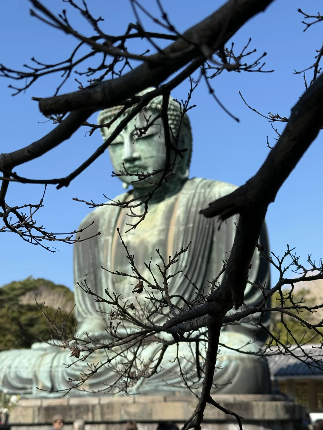 Огромная благодарность нашему гиду Дмитрию за потрясающую экскурсию по Камакуре! Это был не просто рассказ о