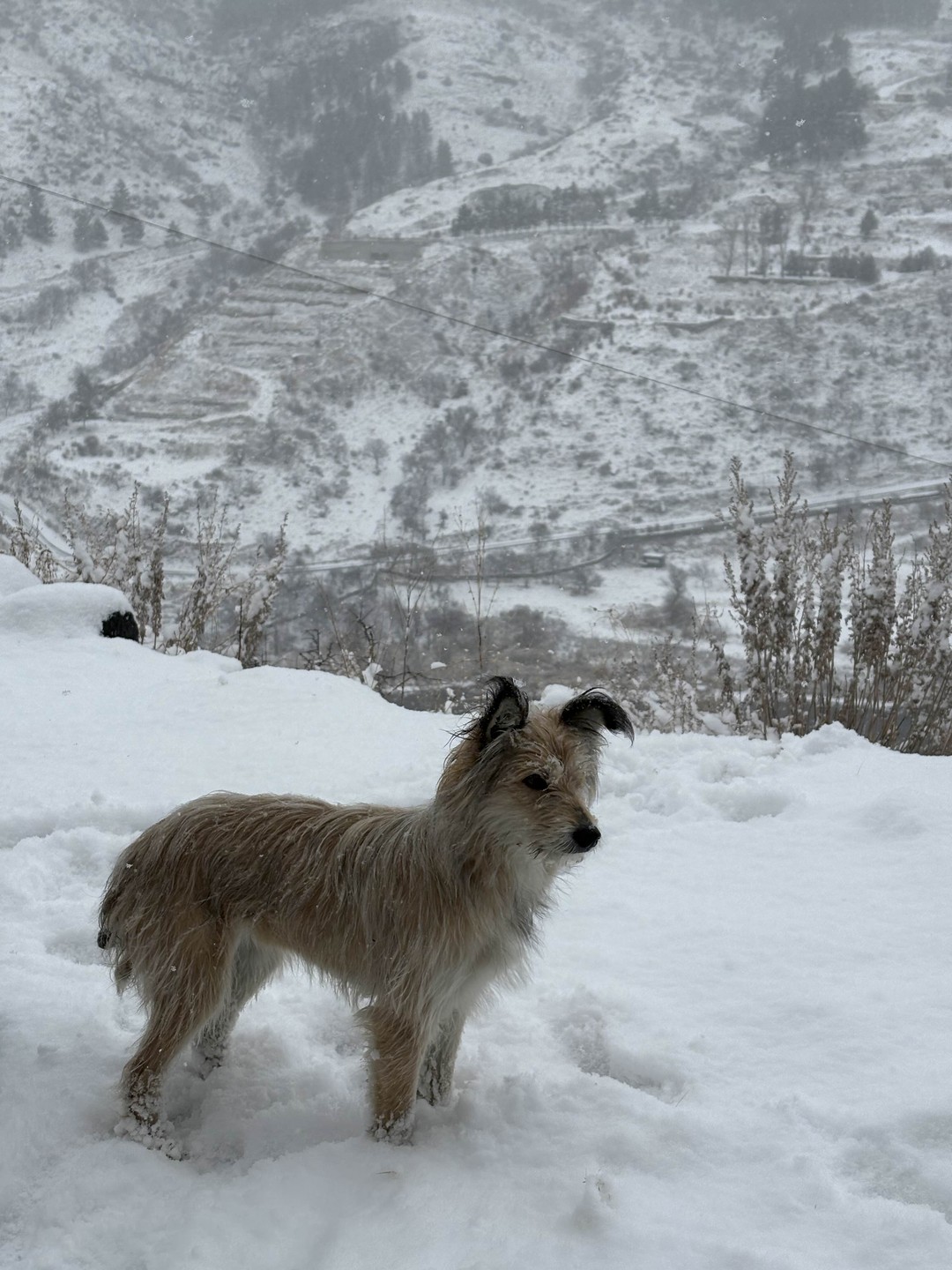 Вардзия, Хертвиси, Рабат и Боржоми: автобусная экскурсия (Анастасия)