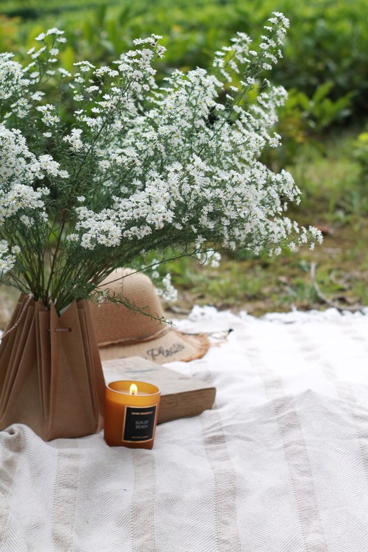 Фотопикник на чайных плантациях