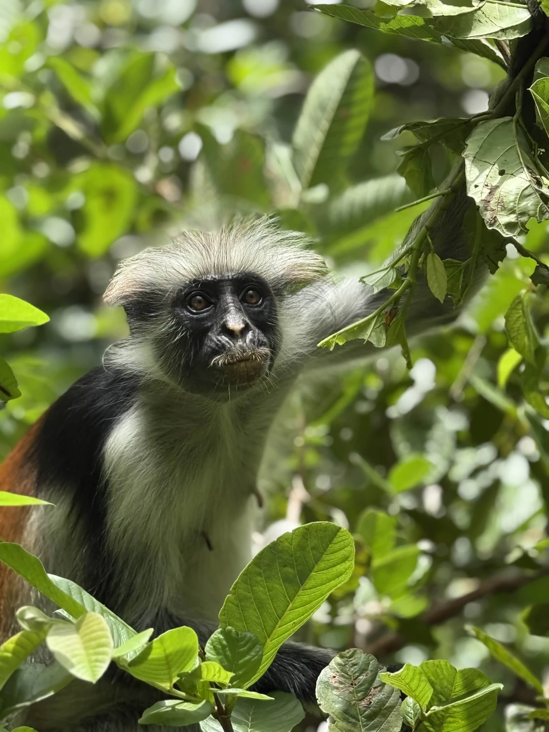 Прекрасный гид. Рекомендую. Очень славно провели время.